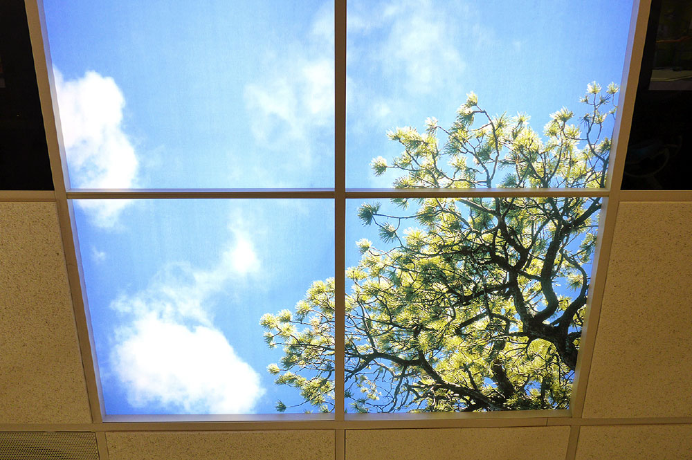 Ceiling Windows Dental Exam Room For Kids - Dr. Barrera Campbell CA Pediatric Dentist